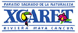 Imagen de dotNET