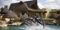 Delfinarios