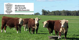 Registro de fierros ganaderos